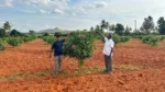 Project Hasiru Sankalpa - image 6