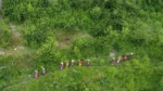 Project Protect Himalayas - image 7