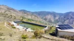Project Protect Himalayas - image 6