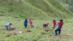 Project Protect Himalayas - image 4