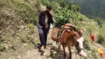 Project Protect Himalayas - image 2