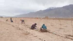 Project Green Leh Ladakh - image 4