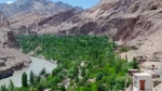 Project Green Leh Ladakh - image 2