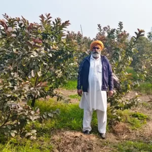Project Hariyawal Punjab