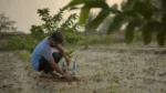 Project Green Shivalik - image 1