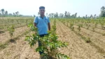 Project Green Shivalik - image 2