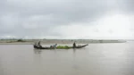 Project Kheojia Assam - image 9