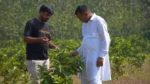 Project Haryana Haritima - image 3