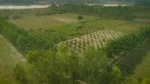 Project Harit Uttar - image 7