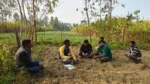 Project Harit Uttar - image 6
