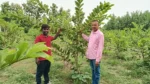 Project Harit Uttar - image 2