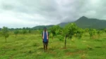 Project Hariyar Chhattisgarh - image 5