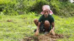Project Hariyar Chhattisgarh - image 4