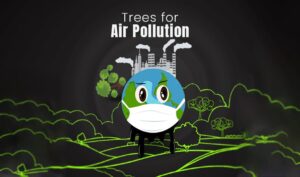 Trees for Air Pollution!