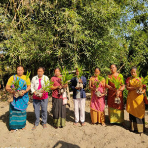 Project Kheojia Assam