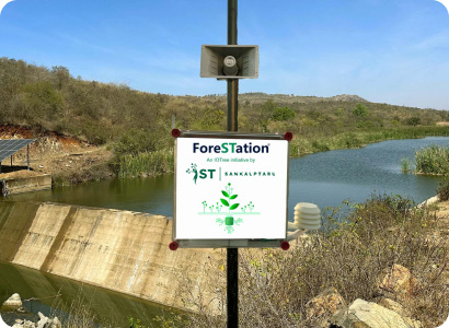 ForeSTation with IoTree