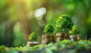 #TaxFreeTrees