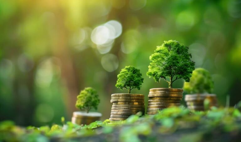 #TaxFreeTrees