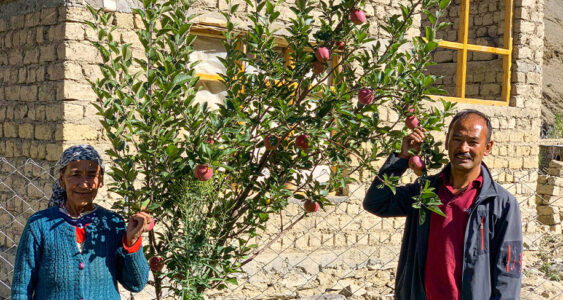 Project Green Leh Ladakh