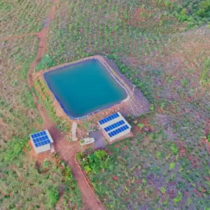 Pune Community Plantation