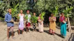 Project Kheojia Assam - image 2