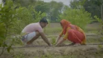 Project Haryana Haritima - image 1
