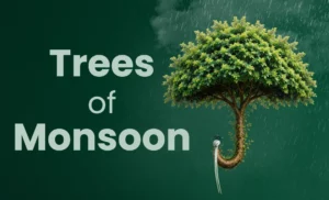 Trees of Monsoon